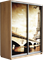 Шкаф-купе Дуо 1200/2200/450 (Фотопечать Париж) 2500