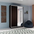 Шкаф-купе Экспресс (Зеркало, ЛДСП) 120/220/45 Ш1101