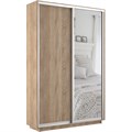 Шкаф-купе Экспресс (Зеркало, ЛДСП) 160/220/45 Ш1105