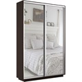 Шкаф-купе Экспресс (Зеркало) 120/220/45 Ш1201