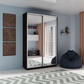 Шкаф-купе Экспресс (Зеркало) 120/220/45 Ш1201