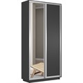 Шкаф-купе Лофт (Зеркало, ЛДСП) 120/240/45 Ш1152