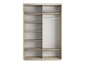 Шкаф-купе Экспресс (Зеркало, ЛДСП) 120/220/60 Ш1301