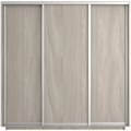 Шкаф-купе Экспресс (ЛДСП) 180/240/60 Ш1502