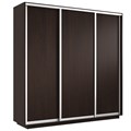Шкаф-купе Экспресс (ЛДСП) 240/220/60 Ш1505