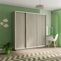 Шкаф-купе Экспресс (ЛДСП) 240/240/60 Ш1506 Шкаф-купе Экспресс (ЛДСП) 240/240/60 Ш1506