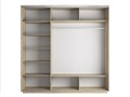 Шкаф-купе Экспресс (Зеркало, ЛДСП) 210/240/60 Ш1604