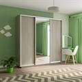 Шкаф-купе Экспресс (Зеркало, ЛДСП) 240/220/60 Ш1605