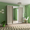 Шкаф-купе Экспресс (Зеркало, ЛДСП) 240/240/60 Ш1606