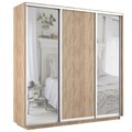 Шкаф-купе Экспресс (Зеркало-2, ЛДСП) 180/220/60 Ш1701