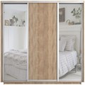 Шкаф-купе Экспресс (Зеркало-2, ЛДСП) 180/220/60 Ш1701