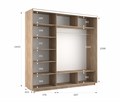 Шкаф-купе Экспресс (Зеркало-2, ЛДСП) 180/240/60 Ш1702
