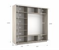 Шкаф-купе Экспресс (Зеркало-2, ЛДСП) 180/240/60 Ш1702