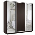 Шкаф-купе Экспресс (Зеркало-2, ЛДСП) 210/220/60 Ш1703