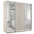 Шкаф-купе Экспресс (Зеркало-2, ЛДСП) 240/220/60 Ш1705