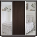 Шкаф-купе Экспресс (Зеркало-2, ЛДСП) 240/240/60 Ш1706 Шкаф-купе Экспресс (Зеркало-2, ЛДСП) 240/240/60 Ш1706