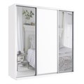 Шкаф-купе Экспресс (Зеркало-2, ЛДСП) 240/240/60 Ш1706 Шкаф-купе Экспресс (Зеркало-2, ЛДСП) 240/240/60 Ш1706