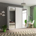 Шкаф-купе Экспресс (Зеркало-2, ЛДСП) 240/240/60 Ш1706 Шкаф-купе Экспресс (Зеркало-2, ЛДСП) 240/240/60 Ш1706