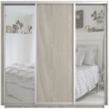 Шкаф-купе Экспресс (Зеркало-2, ЛДСП) 240/240/60 Ш1706 Шкаф-купе Экспресс (Зеркало-2, ЛДСП) 240/240/60 Ш1706