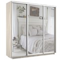 Шкаф-купе Экспресс (Зеркало) 210/220/60 Ш1803
