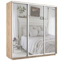 Шкаф-купе Экспресс (Зеркало) 210/240/60 Ш1804