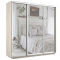 Шкаф-купе Экспресс (Зеркало) 240/220/60 Ш1805