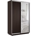 Шкаф-купе Экспресс Хит (Зеркало, ЛДСП) 120/220/60 Ш1122