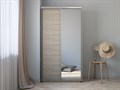 Шкаф-купе Экспресс Хит (Зеркало, ЛДСП) 120/220/60 Ш1122