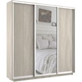 Шкаф-купе Экспресс (Зеркало, ЛДСП) 210/220/45 Ш1753