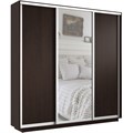 Шкаф-купе Экспресс (Зеркало, ЛДСП) 210/240/45 Ш1754