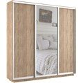 Шкаф-купе Экспресс (Зеркало, ЛДСП) 240/240/45 Ш1756