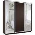Шкаф-купе Экспресс (Зеркало-2, ЛДСП) 180/240/45 Ш1852