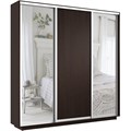 Шкаф-купе Экспресс (Зеркало-2, ЛДСП) 210/220/45 Ш1853