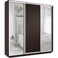 Шкаф-купе Экспресс (Зеркало-2, ЛДСП) 240/240/45 Ш1856