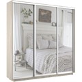 Шкаф-купе Экспресс (Зеркало) 180/220/45 Ш1951