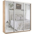 Шкаф-купе Экспресс (Зеркало) 210/220/45 Ш1953