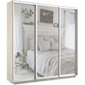 Шкаф-купе Экспресс (Зеркало) 210/240/45 Ш1954