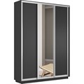 Шкаф-купе Лофт (Зеркало, ЛДСП) 180/240/45 Ш2452