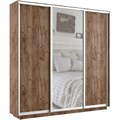 Шкаф-купе Лофт (Зеркало, ЛДСП) 240/240/45 Ш2456