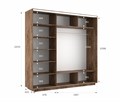 Шкаф-купе Лофт (Зеркало-2, ЛДСП) 210/220/60 Ш2253