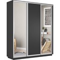 Шкаф-купе Лофт (Зеркало-2, ЛДСП) 210/240/60 Ш2254