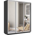 Шкаф-купе Лофт (Зеркало) 210/240/60 Ш2554