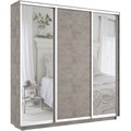Шкаф-купе Лофт (Зеркало-2, ЛДСП) 240/240/45 Ш2656