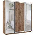 Шкаф-купе Лофт (Зеркало-2, ЛДСП) 240/240/45 Ш2656