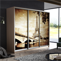 Шкаф-купе Трио 2100/2400/600 (Фотопечать Париж) Ш211 Шкаф-купе Трио 2100/2400/600 (Фотопечать Париж) Ш211