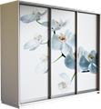 Шкаф-купе Трио 2100/2200/450 (Фотопечать Орхидея) 2552