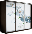 Шкаф-купе Трио 2100/2400/450 (Фотопечать Орхидея) 2553 Шкаф-купе Трио 2100/2400/450 (Фотопечать Орхидея) 2553