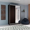 Шкаф-купе Экспресс (Зеркало, ЛДСП) 160/220/45 Ш1105
