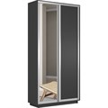 Шкаф-купе Лофт (Зеркало, ЛДСП) 120/240/45 Ш1152