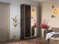 Шкаф-купе Экспресс (Зеркало, ЛДСП) 120/240/60 Ш1302